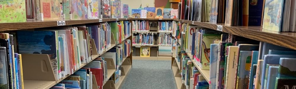 picture book shelves (1)